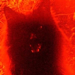 Meet your Posher, K.c.